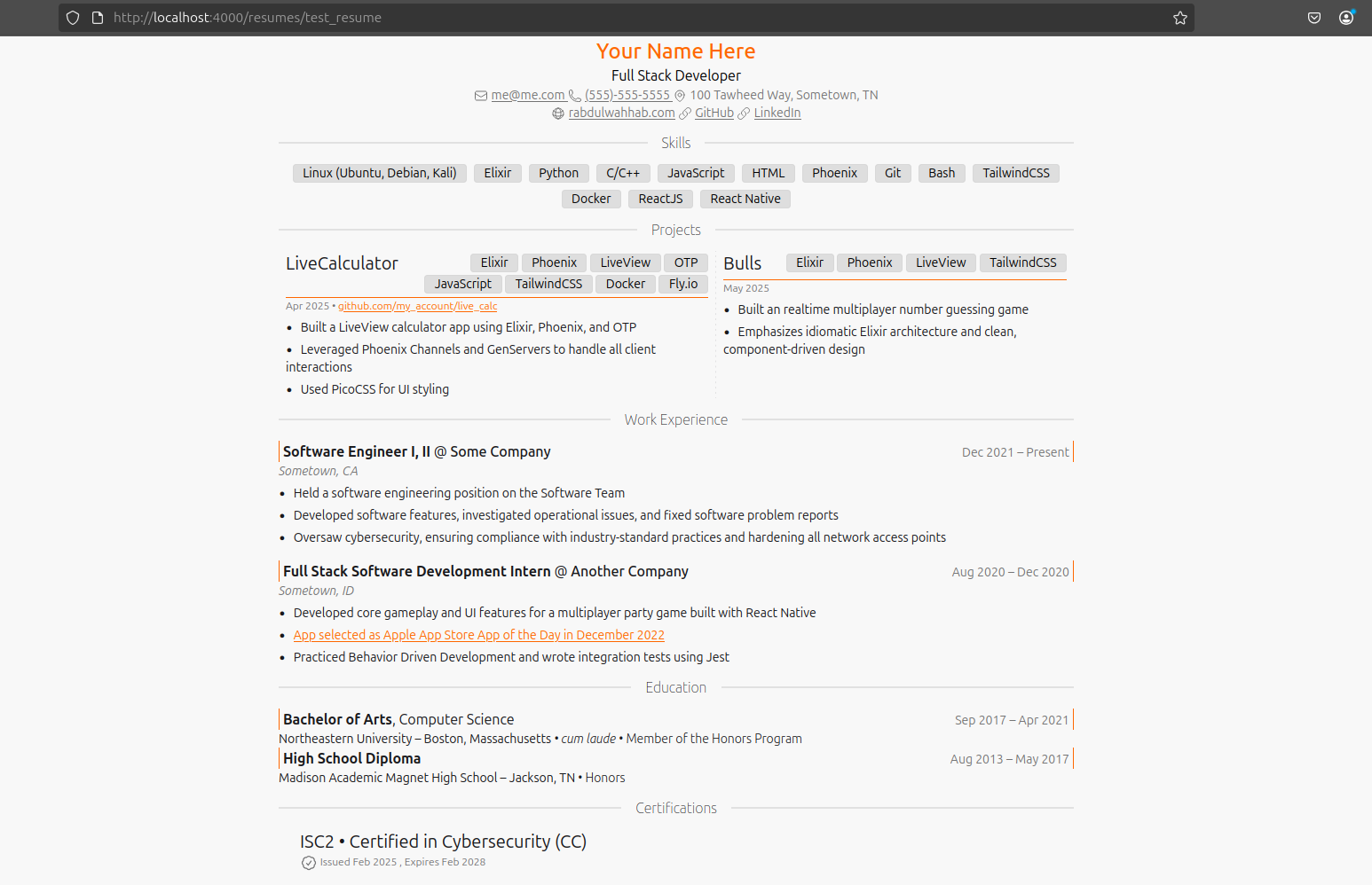 LiveResume sample resume in the light theme