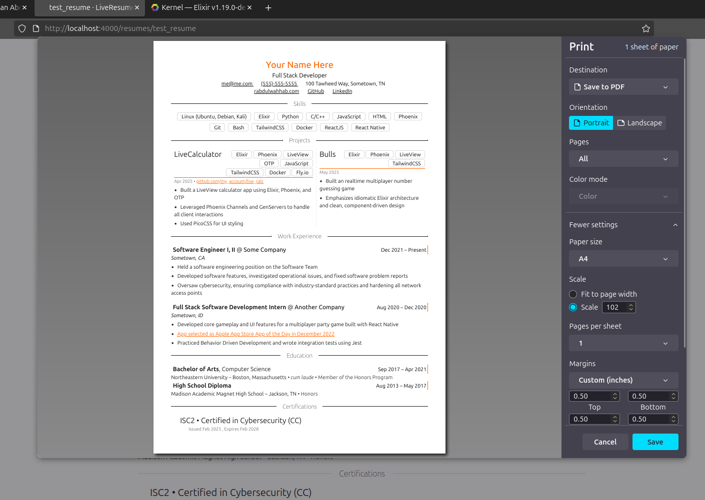 Browser print preview of a LiveResume document